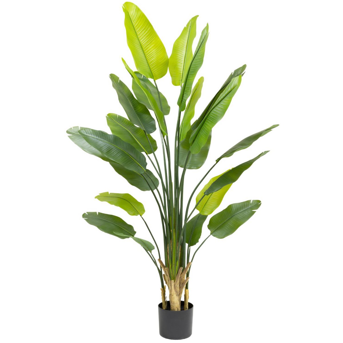 Strelitzie Kunstpflanze 210cm