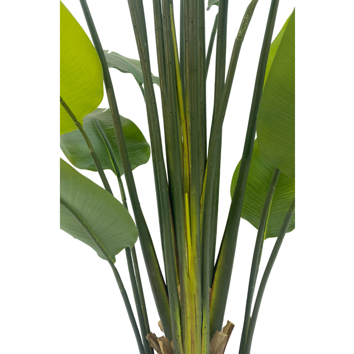 Strelitzie Kunstpflanze 210cm