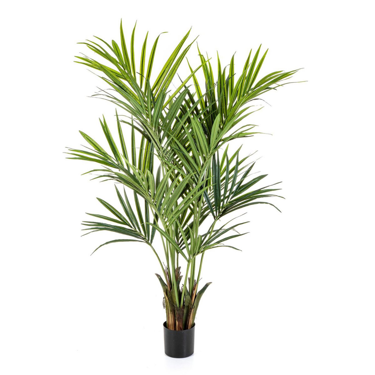 Kentia Künstliche Palme 180cm