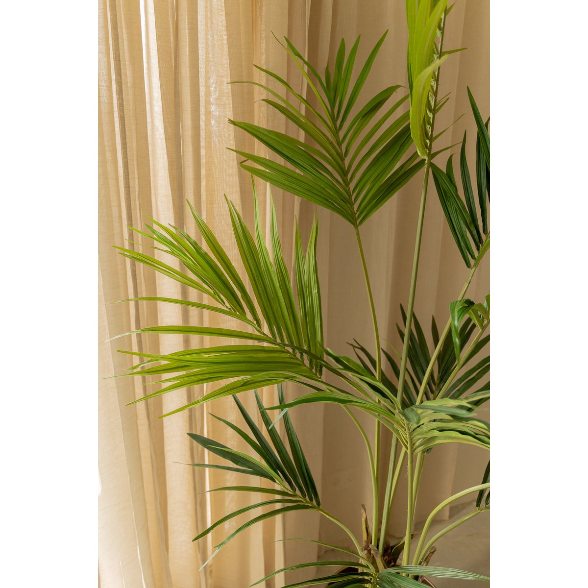 Kentia Künstliche Palme 180cm