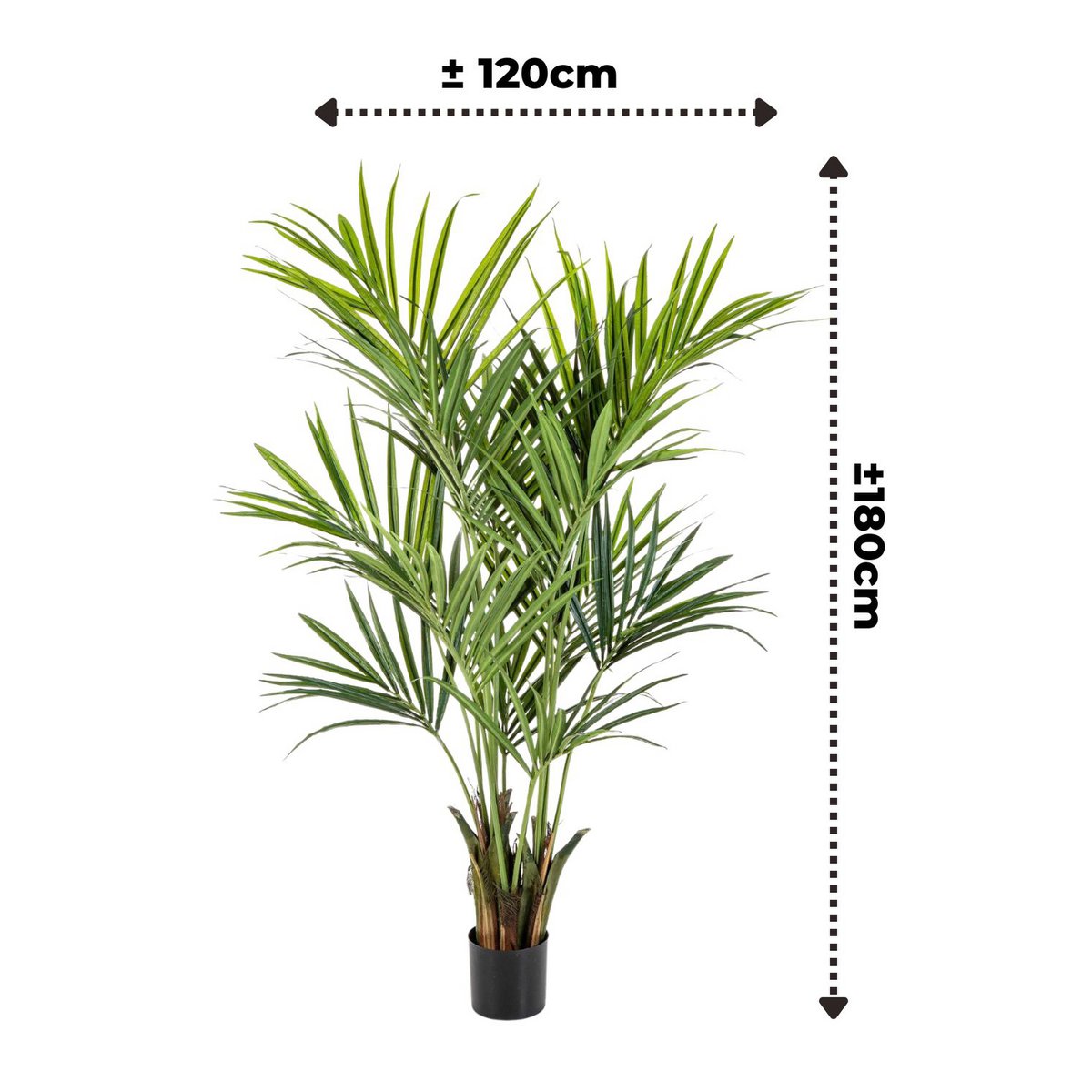 Kentia Künstliche Palme 180cm
