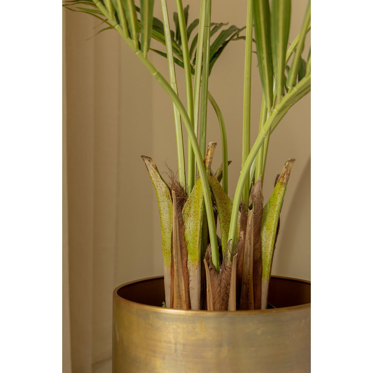 Kentia Künstliche Palme 180cm
