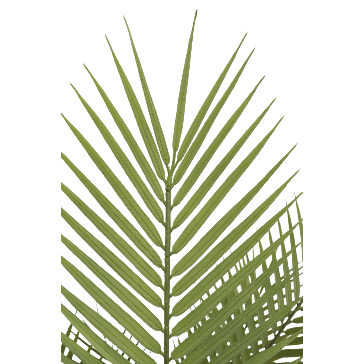 Kunstpalm 150cm