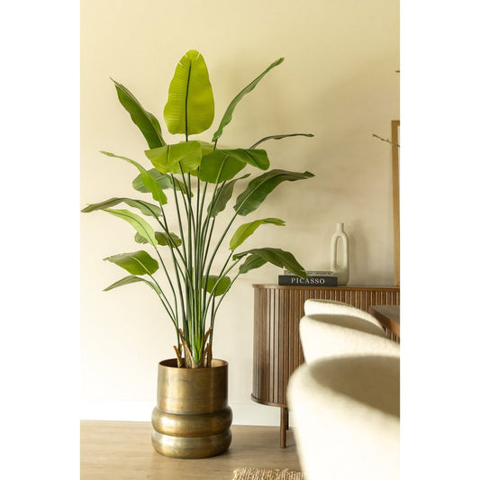 Strelitzia Kunstplant 180cm