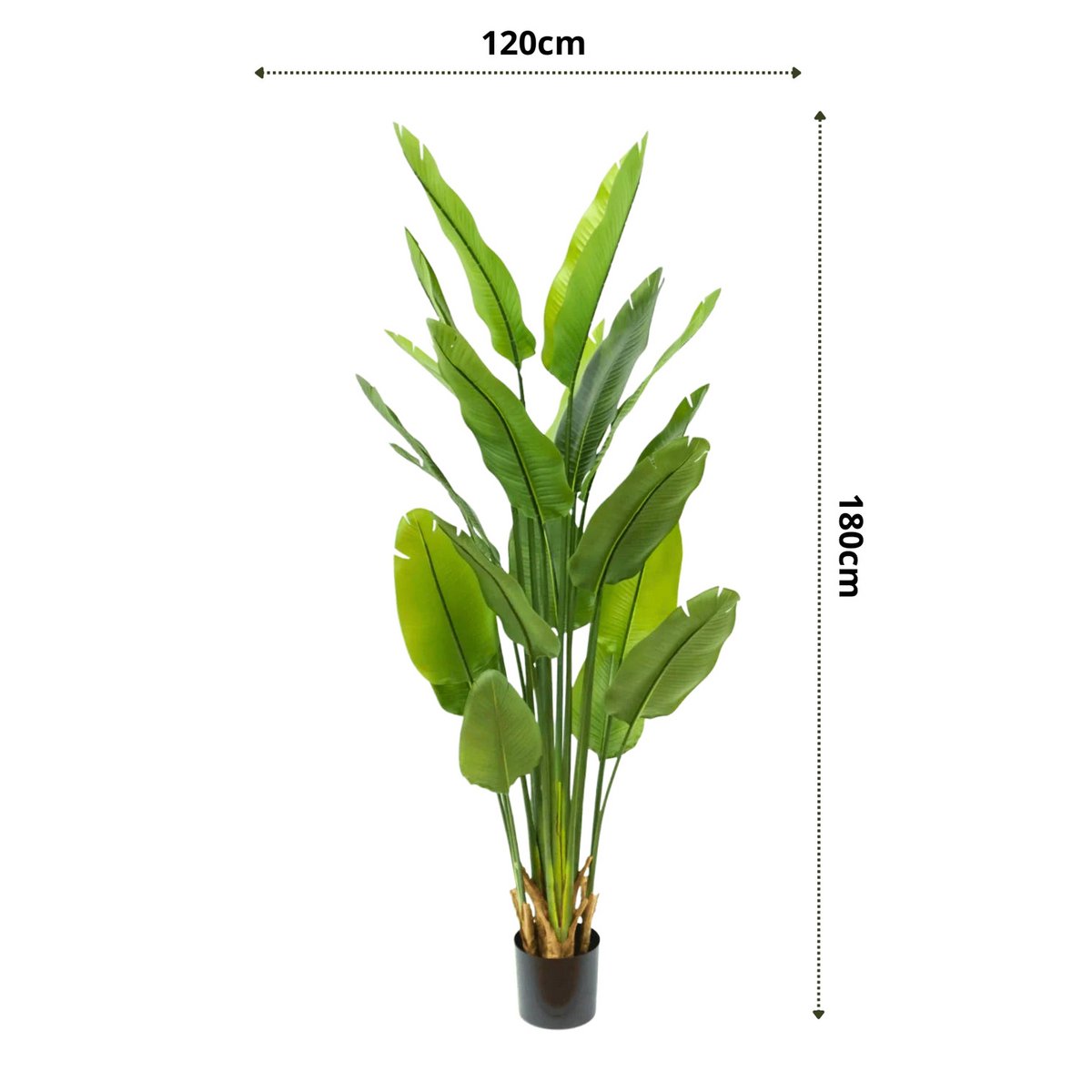 Strelitzia Kunstplant 180cm