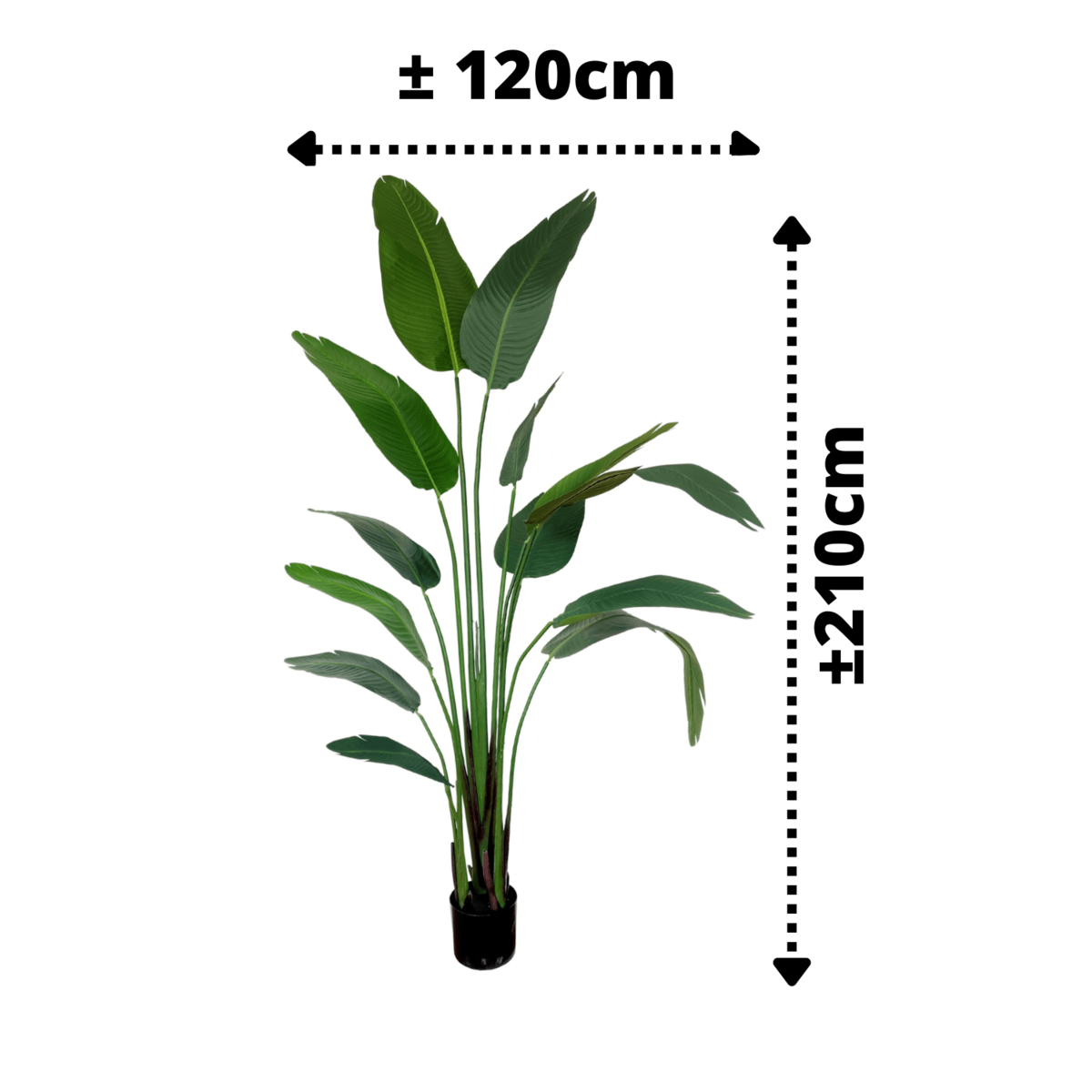Strelitzie Kunstpflanze 210cm