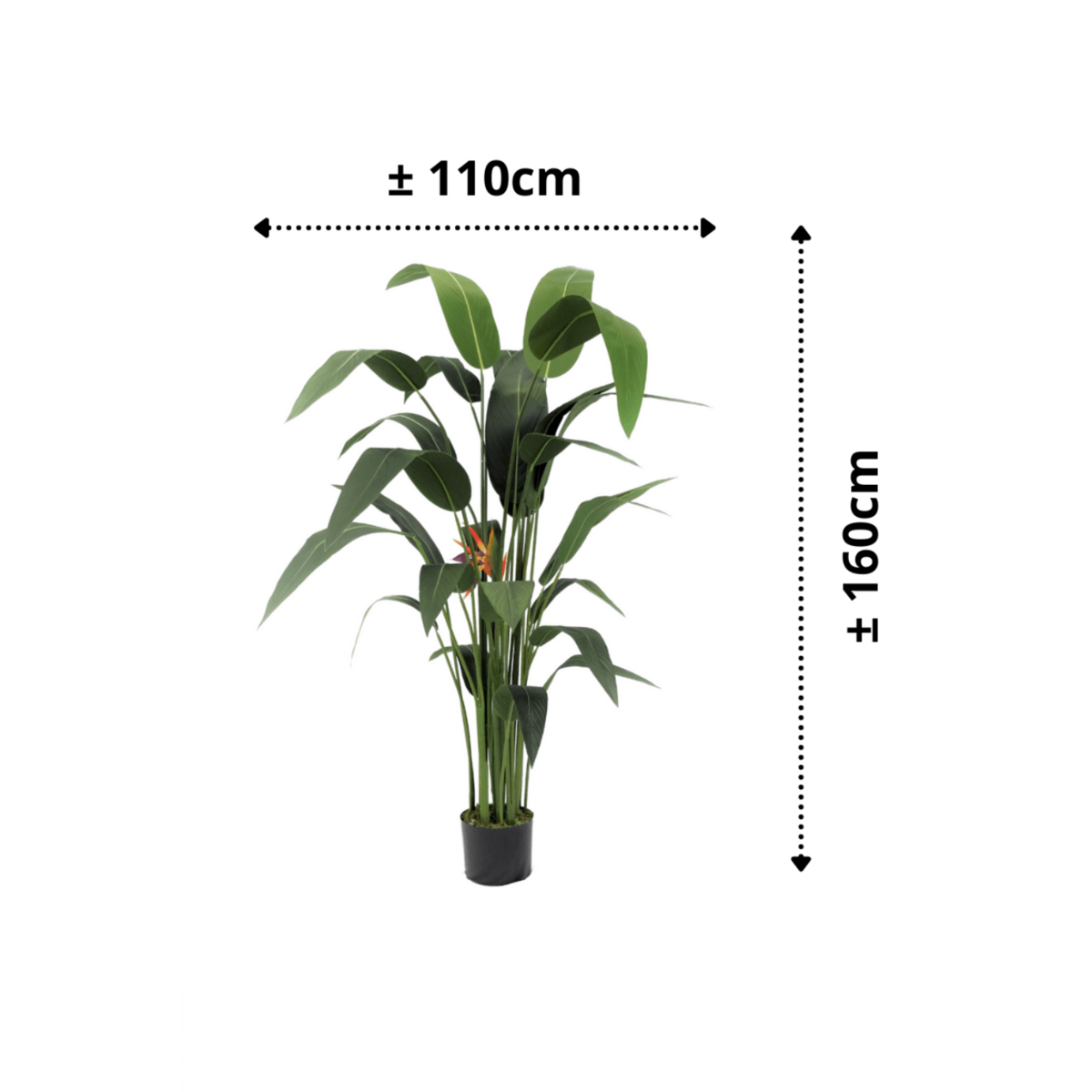 Strelitzia Kunstpflanze mit Blüte 160cm