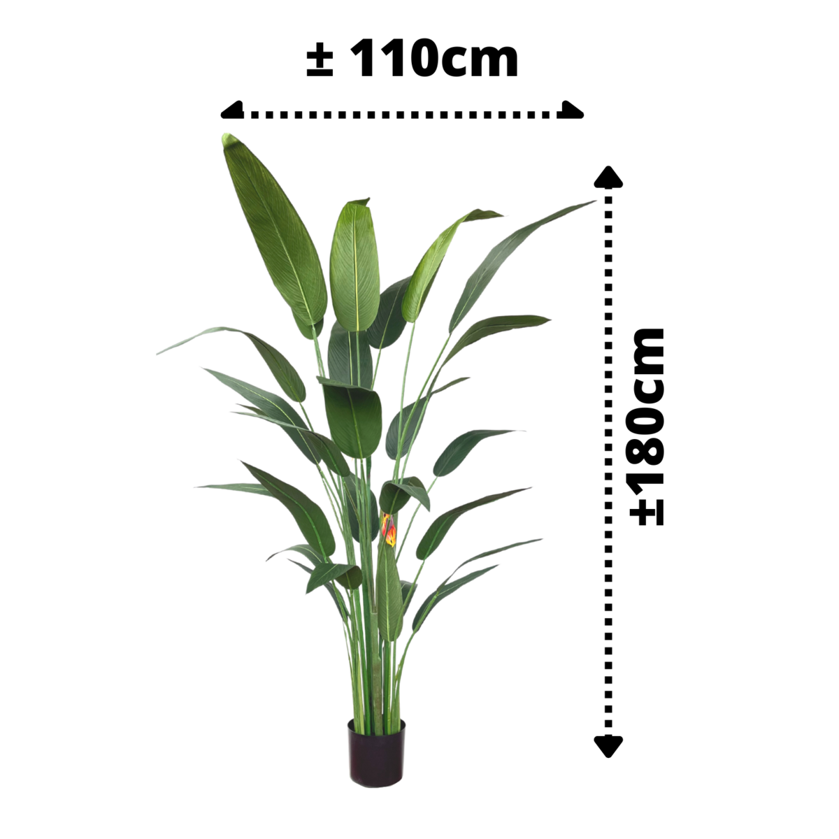 Strelitzia Kunstpflanze mit Blüte 180cm