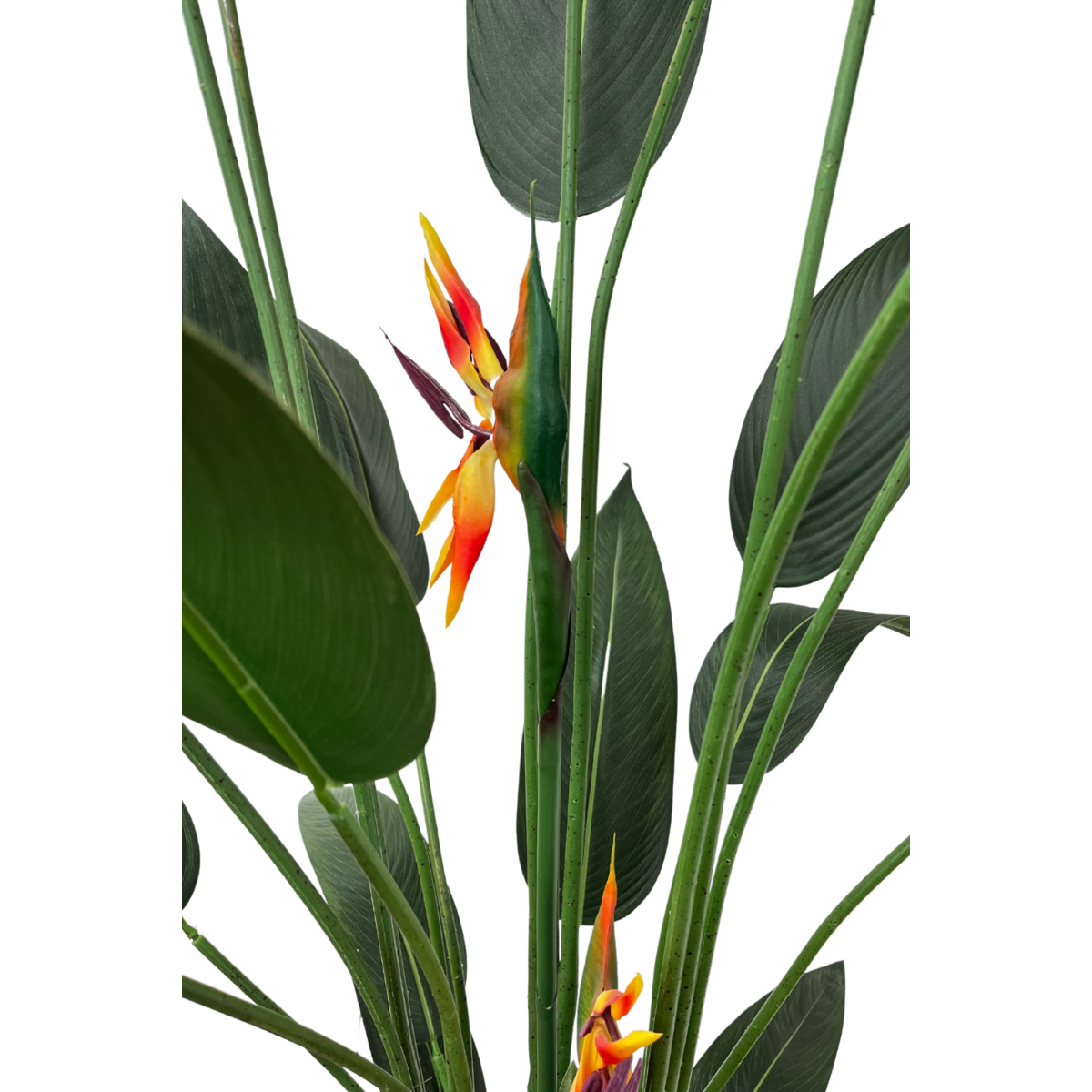 Strelitzia Kunstpflanze mit Blüte 180cm