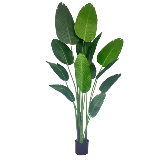 Strelitzie Kunstpflanze 180cm