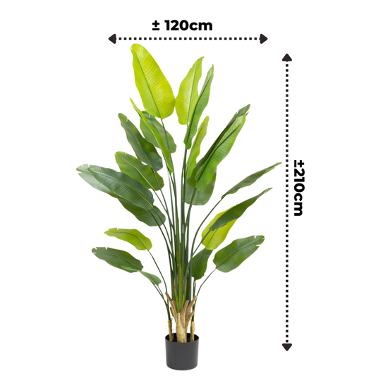 Strelitzie Kunstpflanze 210cm