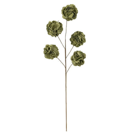 Bloem Tak Eva met 5 pompoms groen