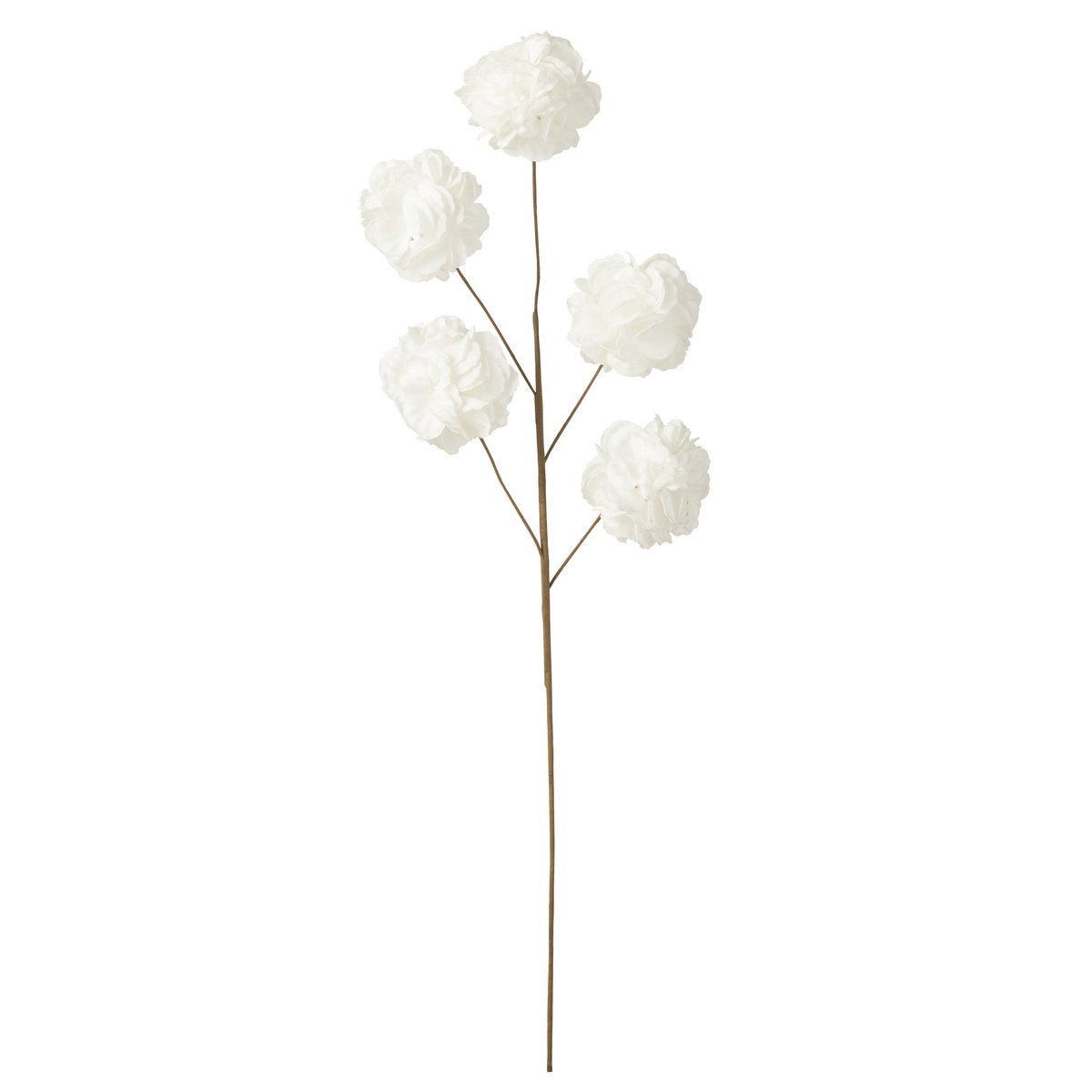 Bloem Tak Eva met 5 pompons wit