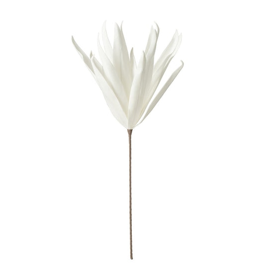 Bloem Tak Eva met lange bladeren wit