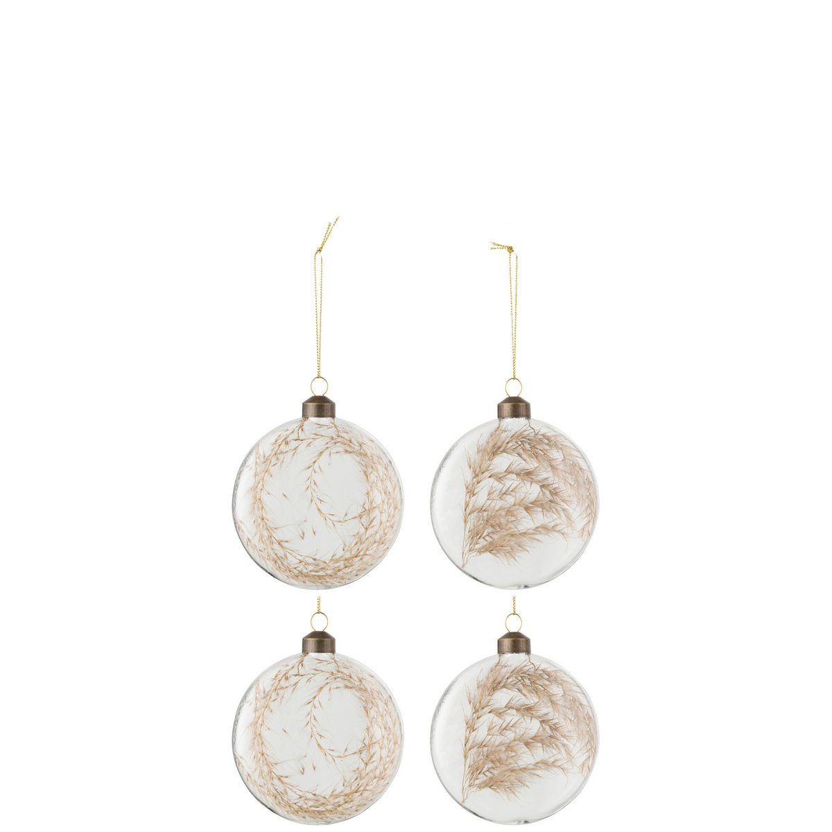 J-Line Doos Van 4 Kerstballen Rond Plat 2+2 Gedroogde Pampas Glas Transparant
