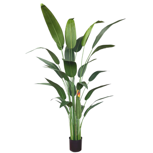 Strelitzia Kunstplant met Bloem 180cm
